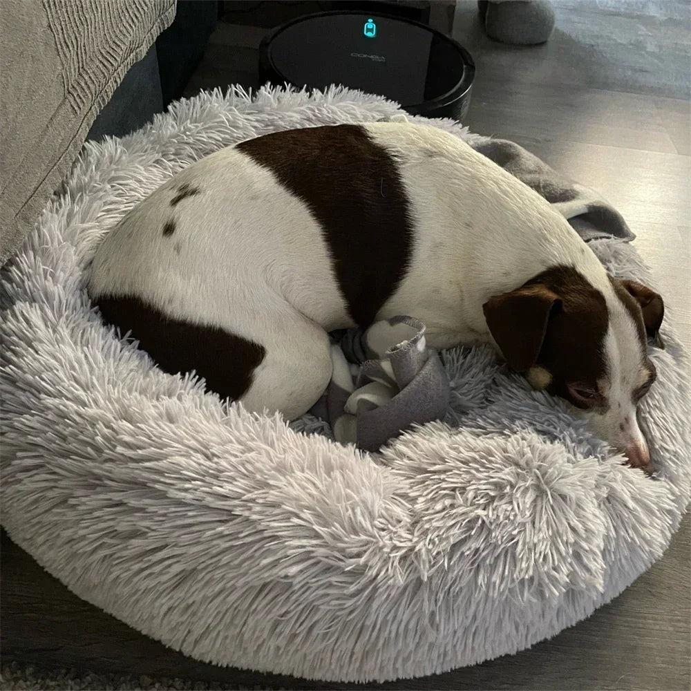 Coussin Apaisant Pour Chien