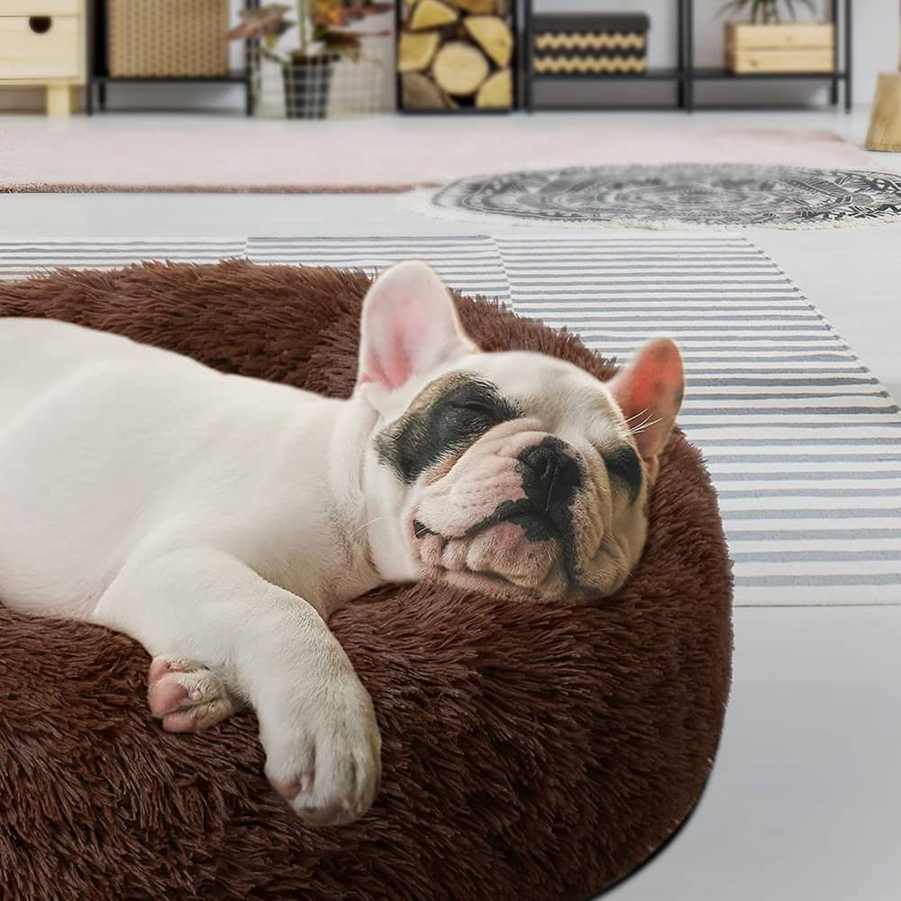 Coussin Apaisant Pour Chien