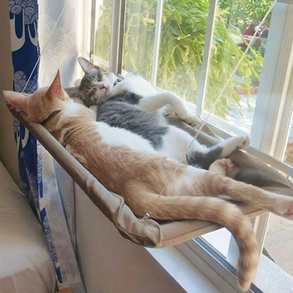 Hamac Chat Fenêtre