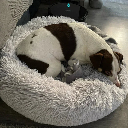 Coussin Apaisant Pour Chien