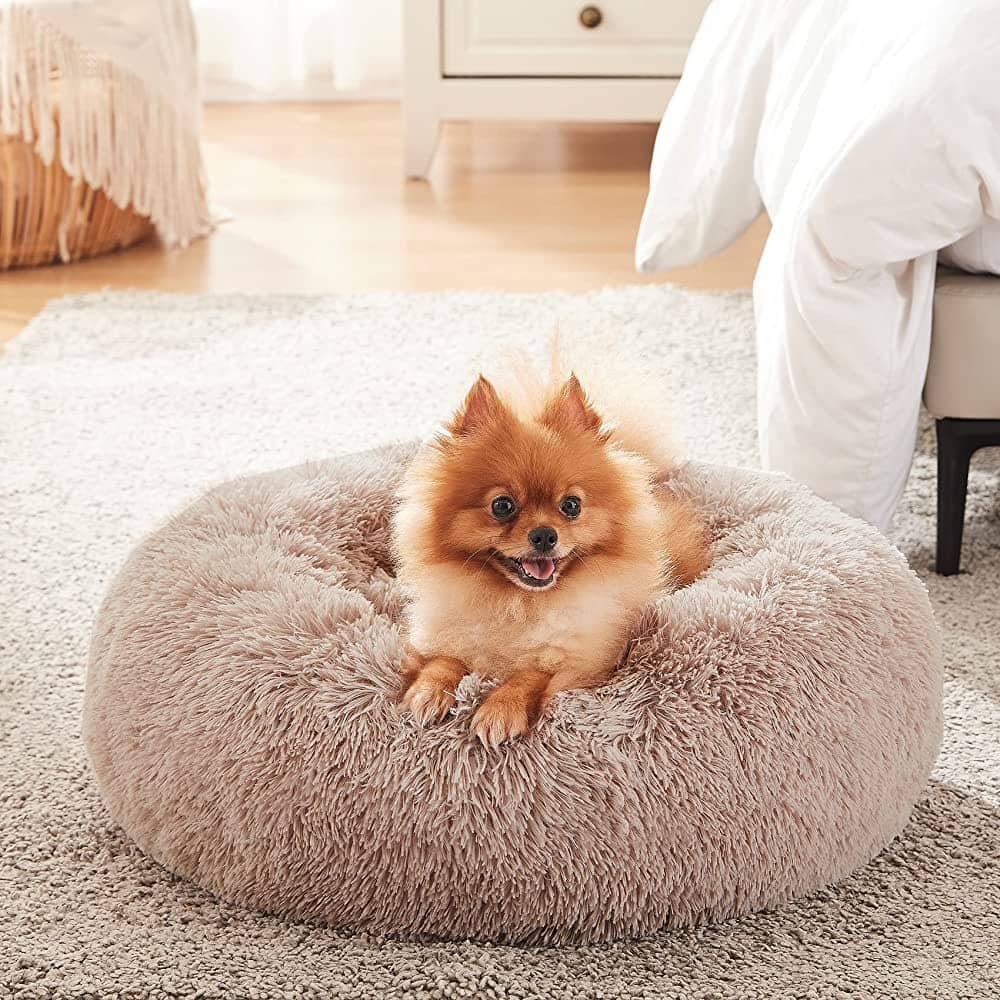Coussin Apaisant Pour Chien