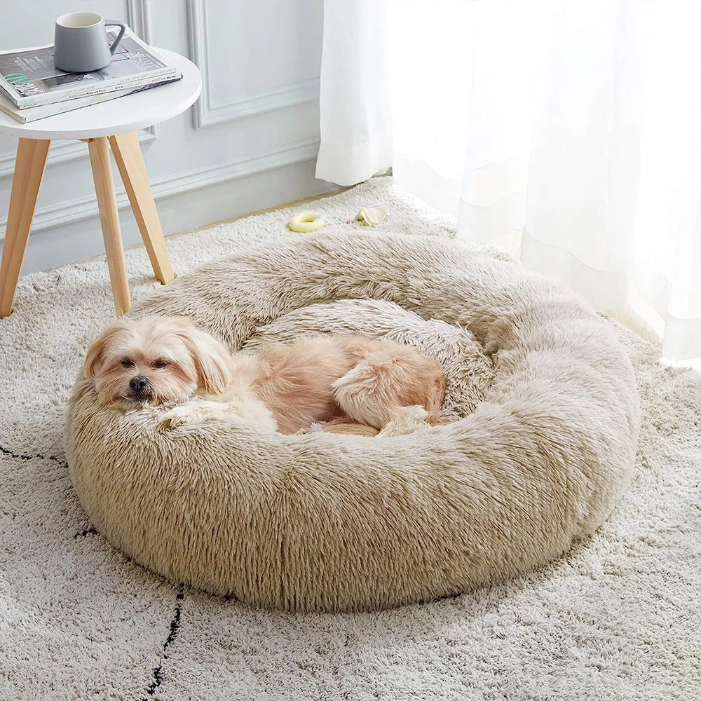 Coussin Apaisant Pour Chien