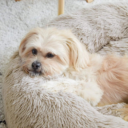 Coussin Apaisant Pour Chien