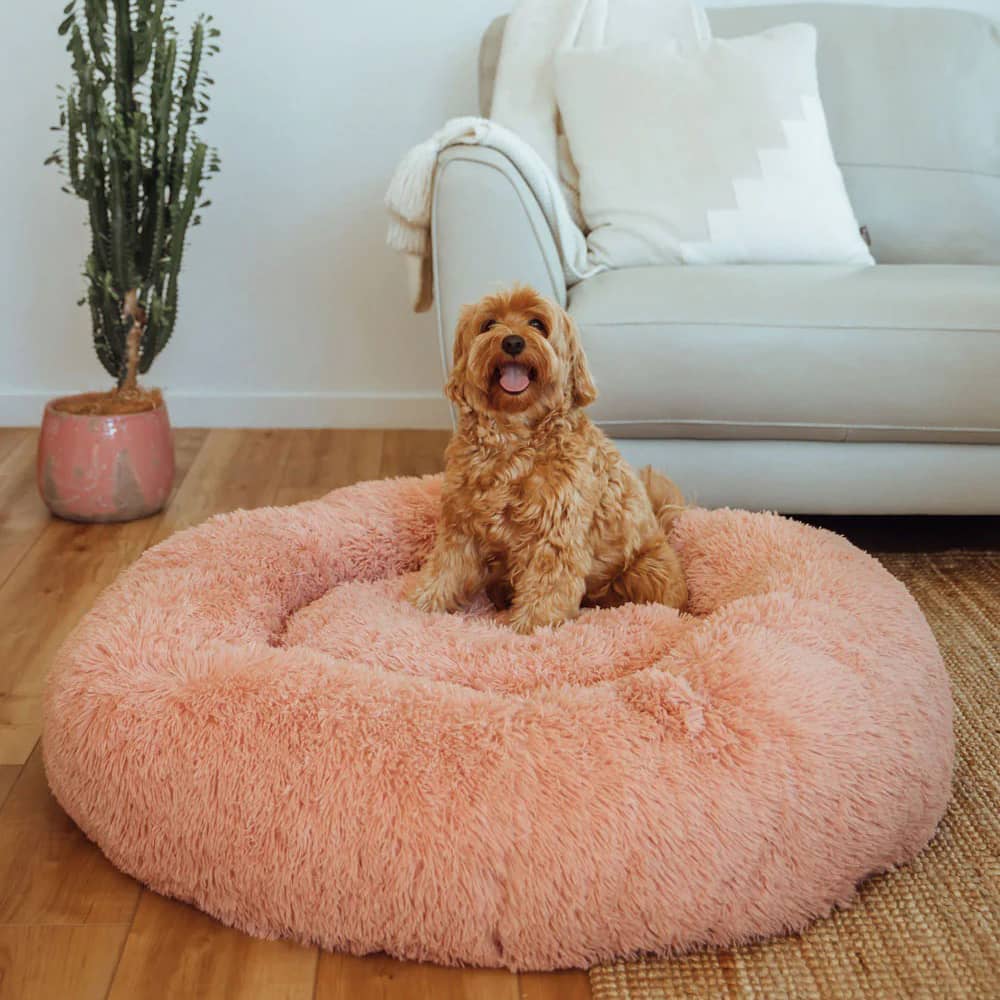 Coussin Apaisant Pour Chien